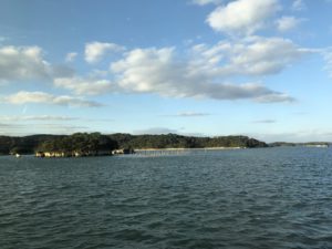 松島の海