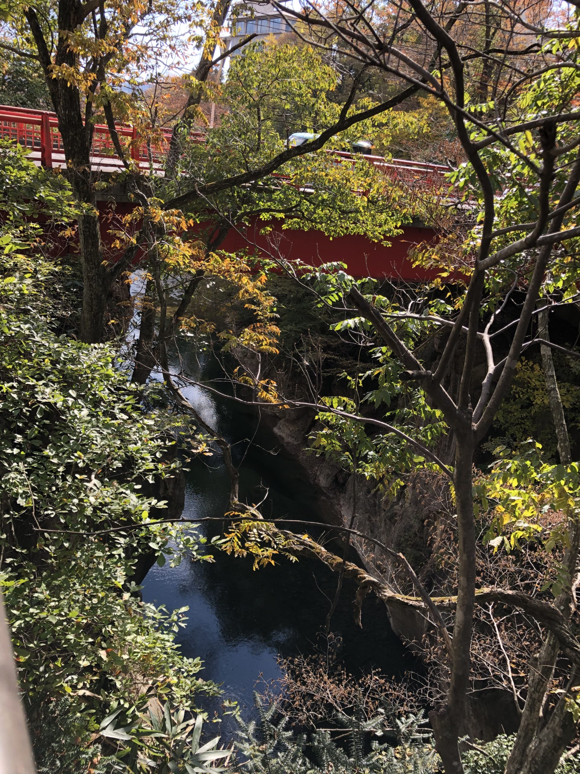 杜の都 仙台 秋保温泉でおいしいものと散策