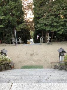 上から石段のぞいてみた