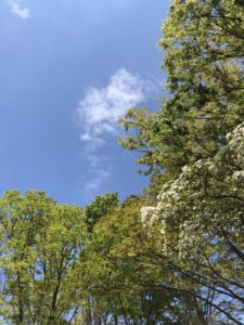 風吹けば雲は駆け足